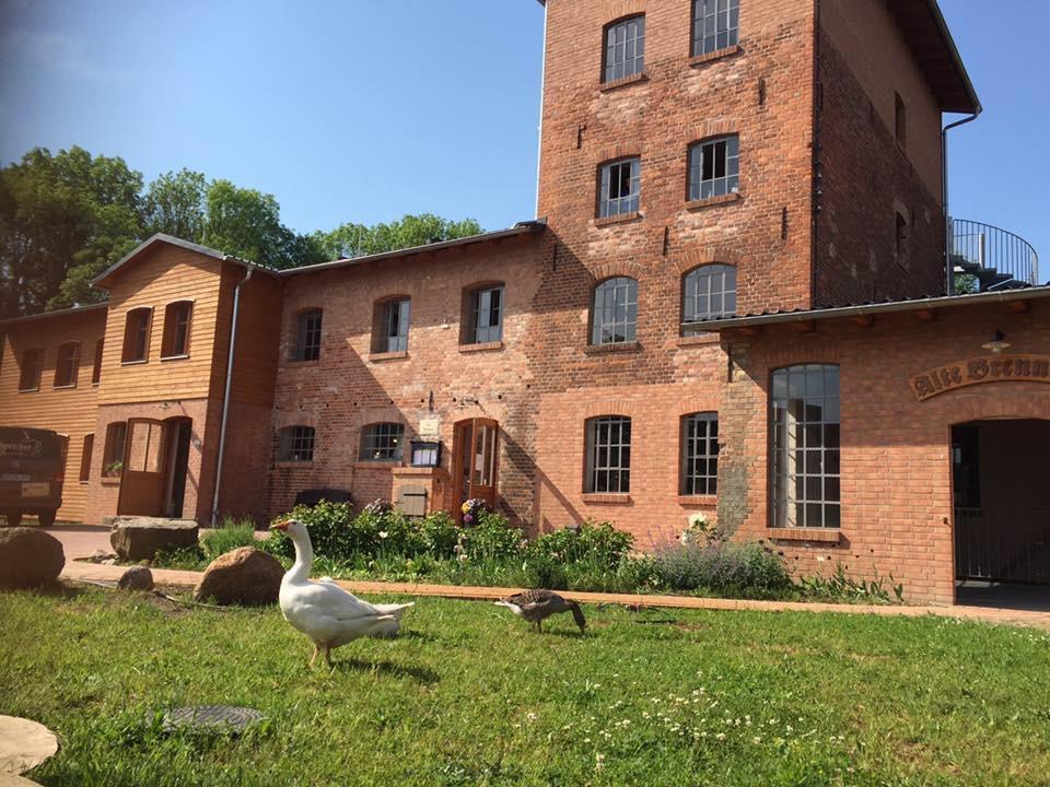 Alte Brennerei Hotel Uckerland Buitenkant foto